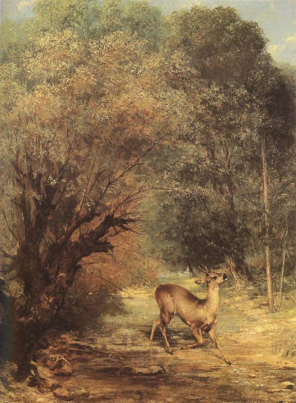 Gustave Courbet Deer oil painting image